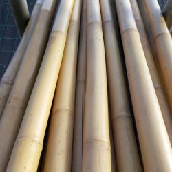 Tonchin bamboo pole, 1st choice - ø 50-55 mm